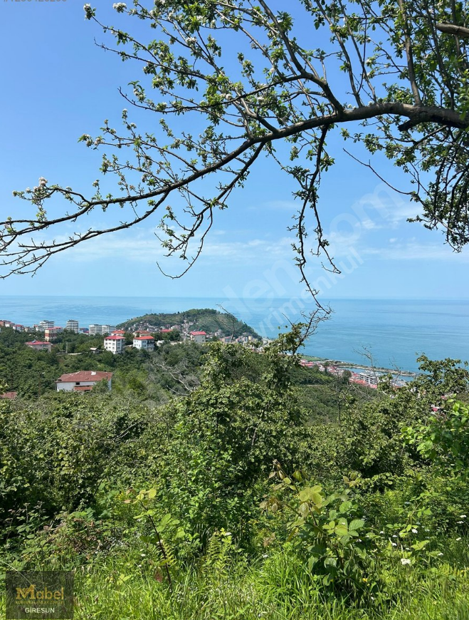 KAVAKLAR MH DENİZ MANZARALI ARSALAR